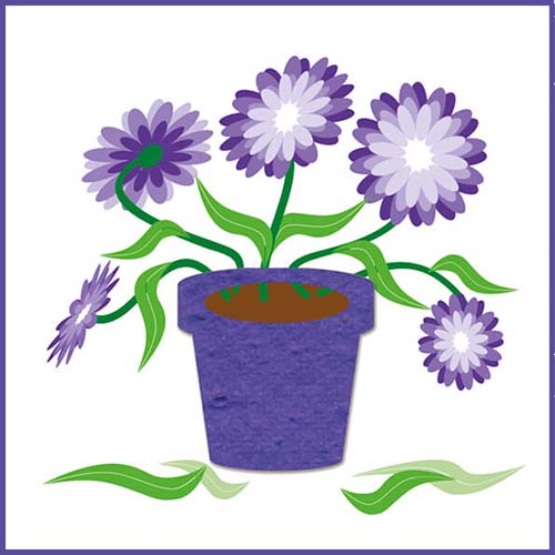 kaarten met bloem zaadjes, bloemen in pot