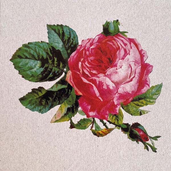 Bloemkaart met pioenroos, duurzaam