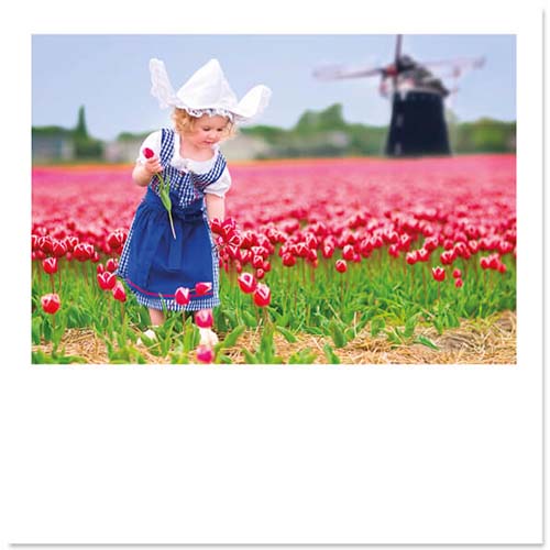 Kaarten Holland, klederdracht en bollenveld