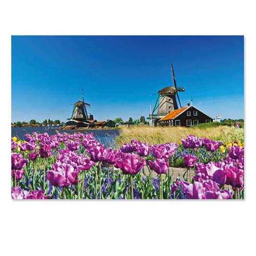 Kaarten Zaanse Schans molens en tulpen
