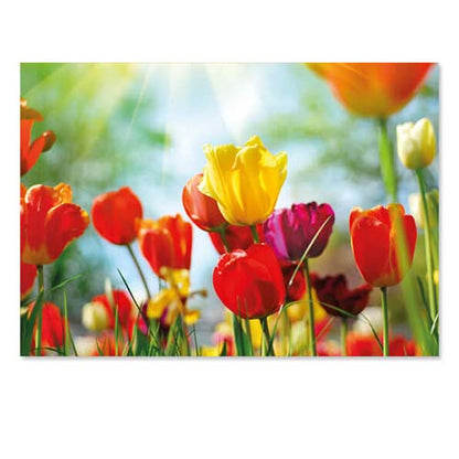 Kaart Tulpen in bloei in het voorjaar
