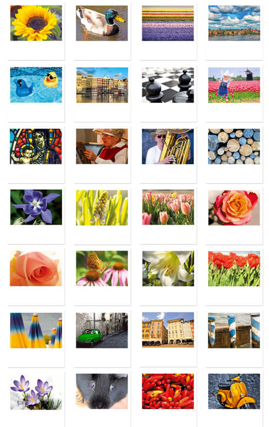 Kaarten met leuke en mooie foto's