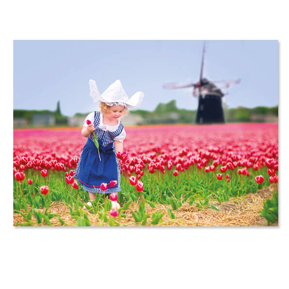 Postkaart meisje in klederdracht bij Tulpenveld en molen