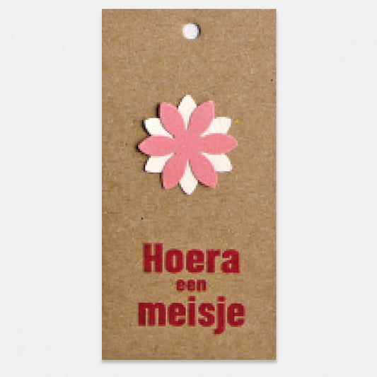 Kado- of bloemkaartje op kraft karton, Hoera een meisje, per stuk. Geboorte meisje