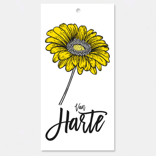 kadokaartje of bloemkaartje Van Harte, Shadows, verpakt per 3 ex.