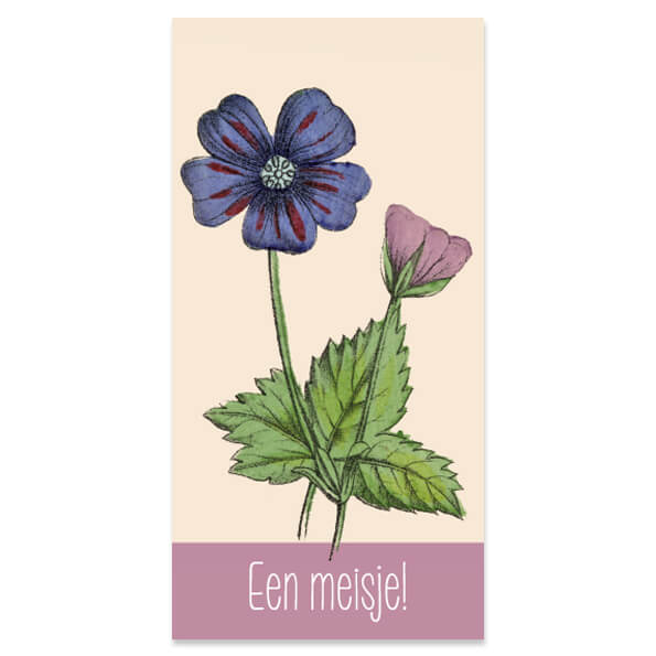 Bloemenkaartjes geboorte meisje, set van 3