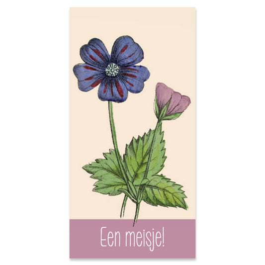 Bloemenkaartjes geboorte meisje, set van 3