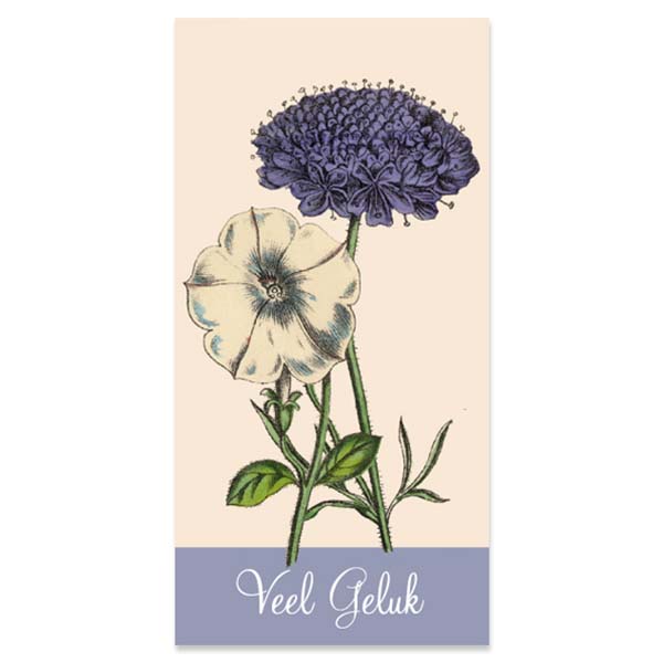 Kadokaartjes  Veel Geluk, retro bloemen, 3 ex