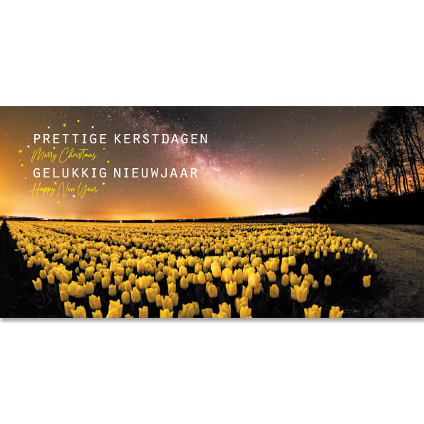 Kerstkaarten_tulpen_bollenvelden
