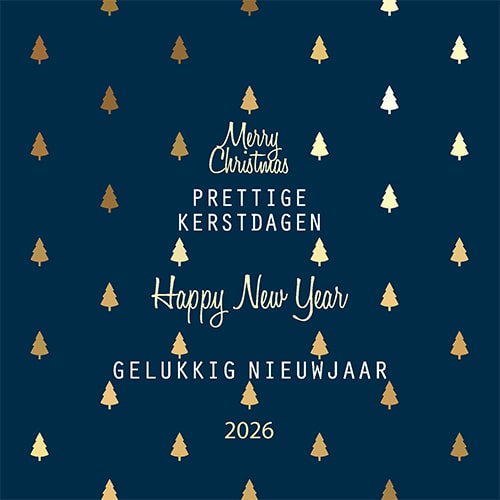Kerstkaart 2025 donkerblauw goud zakelijk