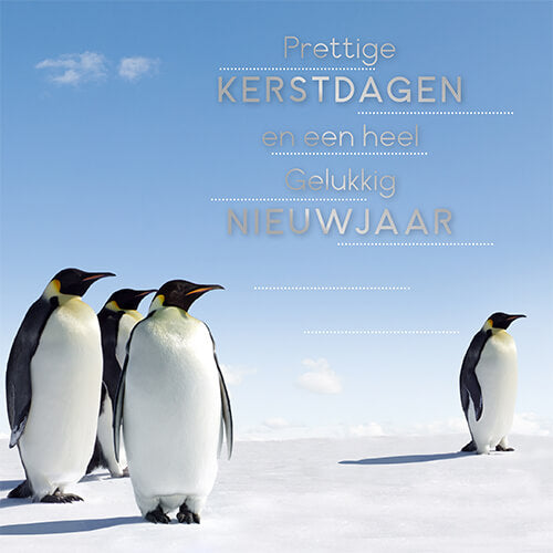 Kerstkaart Pinguïns in de sneeuw, full colour en zilverfolie