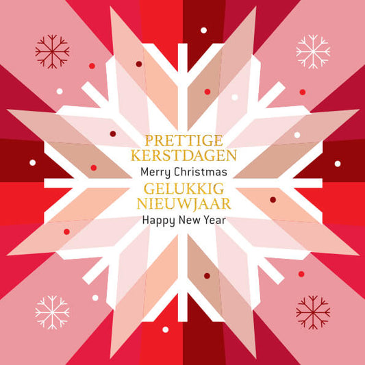 Kerstkaart goed doel stichting ALS Nederland, Sneeuwvlok