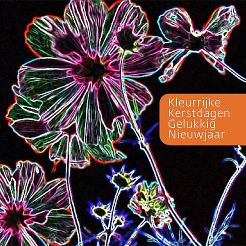 Kerstkaart Alzheimer Nederland | IJsbloemen