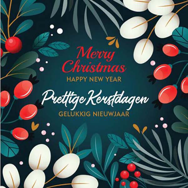 kerstkaart goed doel Alzheimer Nederland, besjes en kersttakken