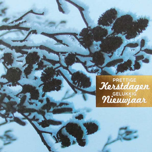 Kerstkaart met besneeuwde takken en goud