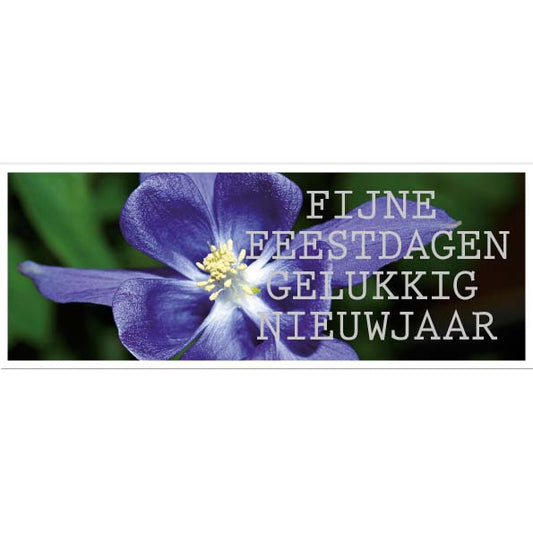 kerstkaart bloem paars en zilveren kerstwens