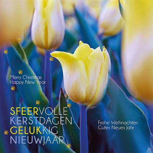 kerstkaarten bloemen: tulpen met blauw groene bladeren en goud folie