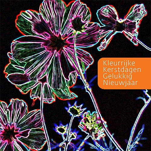 Kerstkaart bloemen kleurrijk, ijsbloemen