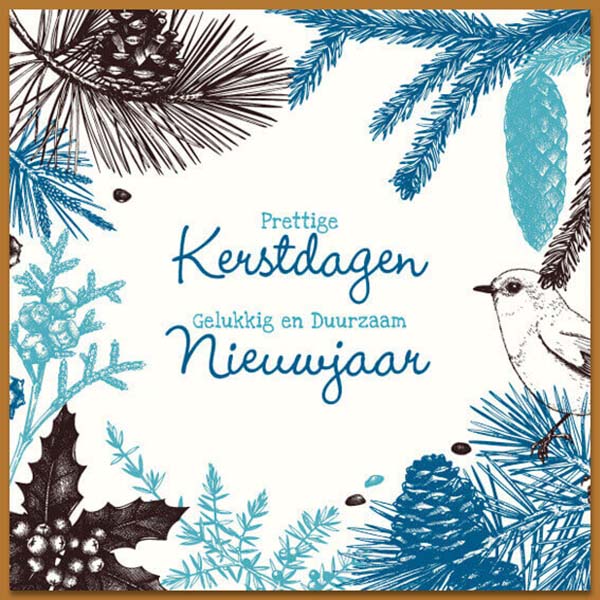 Kerstkaart met tekeningen kersttakken en vogeltje