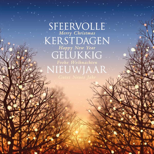 Kerstkaart met sfeervolle winterlucht en kale bomen.