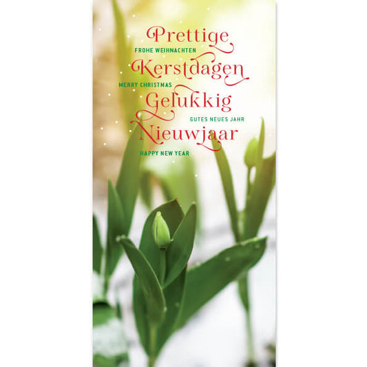 kerstkaart besneeuwde tulpen in winter, internationale kerstwensen