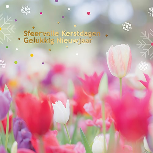 Kerstkaart bloemen Tulpen veld in prachtige kleuren pastel, bloembollen