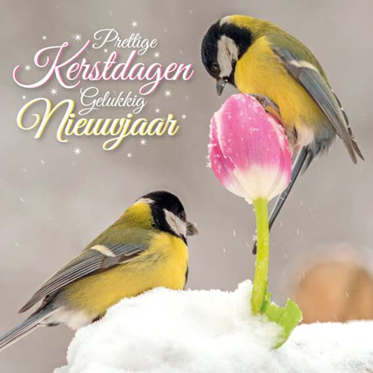 Kerstkaart met koolmeesjes, vogels in de sneeuw