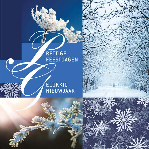 kerstkaart winterbeelden in blauw
