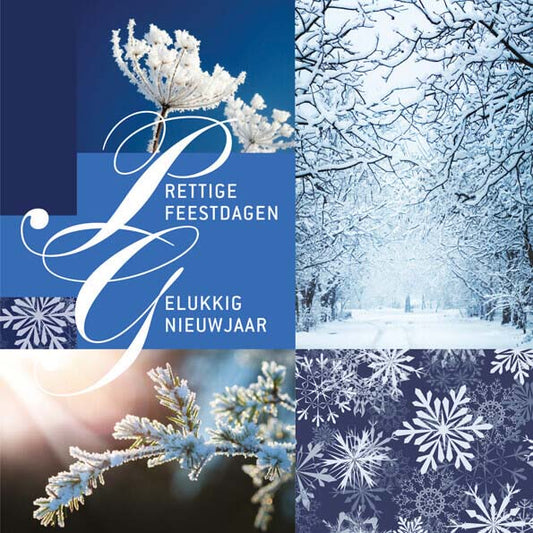 kerstkaart winterbeelden in blauw