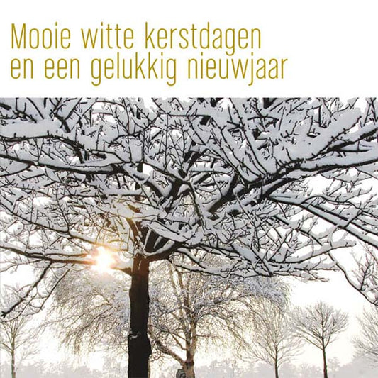 Kerstkaart goed doel Make a Wish, besneeuwde bomen