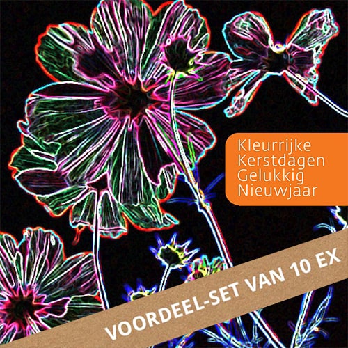 Kerstkaarten voordeel set 10 ex, IJsbloemen