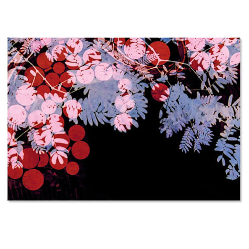 Kunstkaart japan bloesem, groot