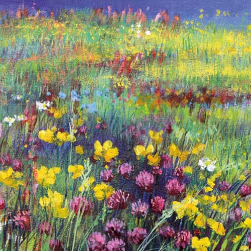 Kunstkaart bloeiende wilde bloemen in weide