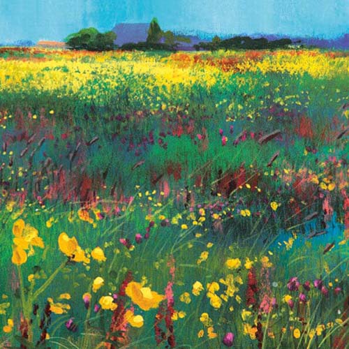 Kunstkaarten weide met wilde bloemen