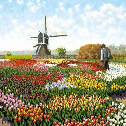  keukenhof
