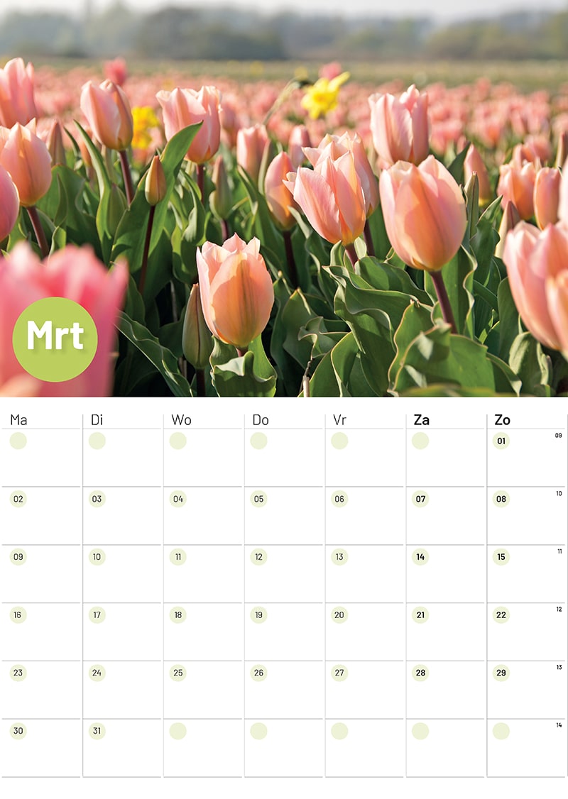 Jaarkalender 2026 Bloemen