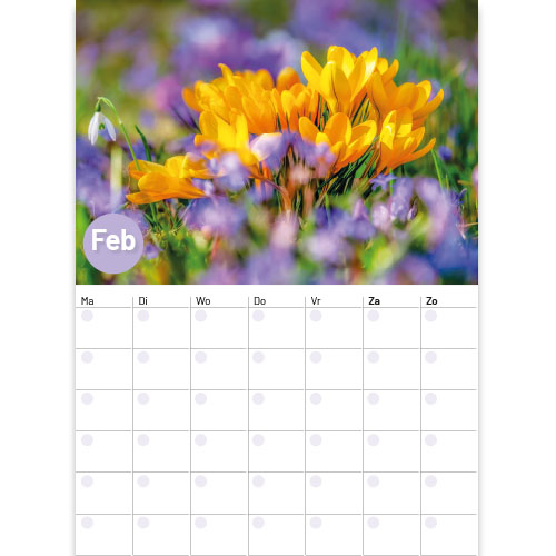Maandoverzicht Februari  maandplanner