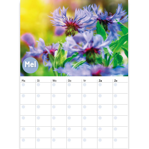 Maandoverzicht Mei maandplanner