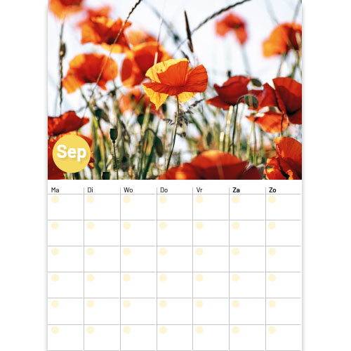 Maandoverzicht september maandplanner