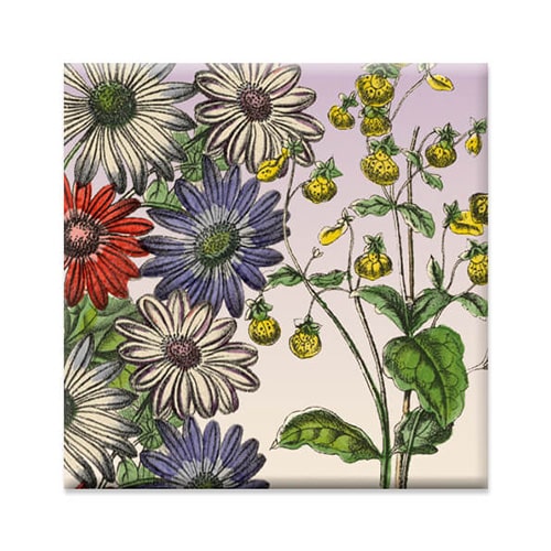 magneetje bloemen kleurrijk