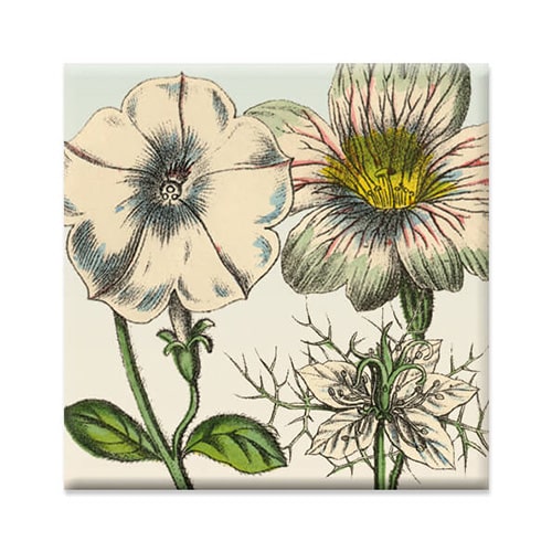 magneetje met witte bloemen