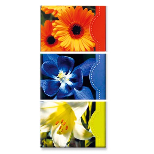 Notitie blokjes bloemen, lelie, Gerbera en paarse bloem (3 stuks)