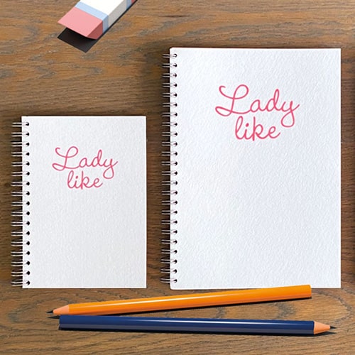 Notitieboekjes A5 en A6, lijntjes, 'Lady Like' roze en wit
