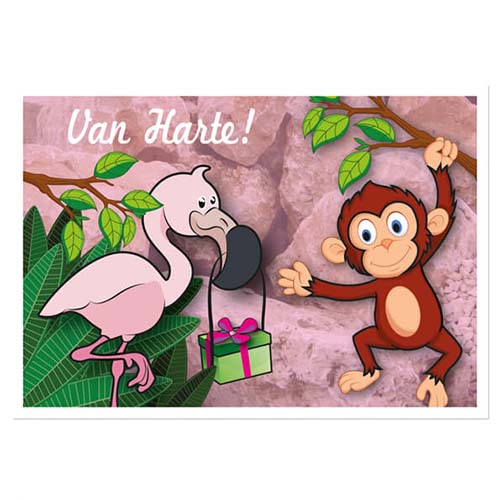 Verjaardagskaart meisje - Aapje en flamingo
