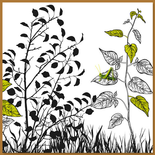 wenskaart met sprinkhaan op blad
