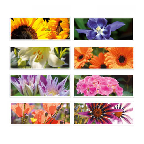 wenskaarten, diverse bloemen