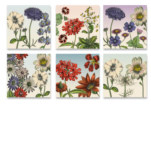 wenskaarten, bloemenkaarten retro stijl