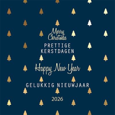 Kerstkaart 2025 donkerblauw goud zakelijk