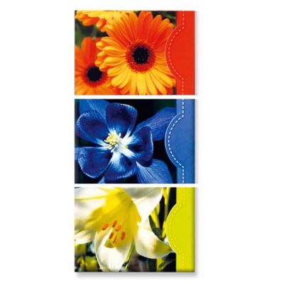 Notitie blokjes bloemen, lelie, Gerbera en paarse bloem (3 stuks)